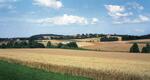 bernartice nad Odrou