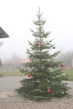 Časy