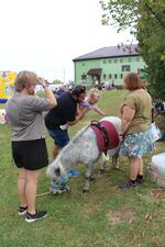 Časy