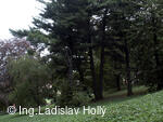 Arboretum Sola gratia, Bystřice pod Hostýnem