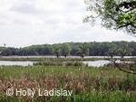 Naučná stezka KOTVICE