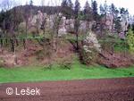 Hodslavice