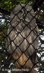 ZOO Praha