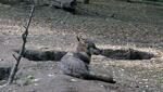 ZOO Praha