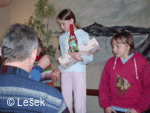 běh 2004
