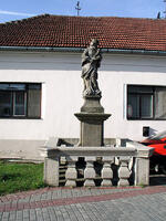 Bojkovice město