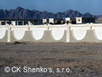 CK SHENKO´S