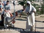 CK SHENKO´S