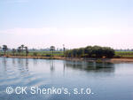 CK SHENKO´S