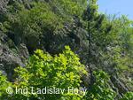 Hrad Starý Jičín 2004-05-21