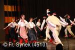 Mezinárodní armádní festival Rožnovská Valaška