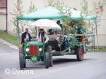 Mezinárodní folklorní festival Česká náves - Dýšina