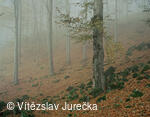 Hukvaldy 040