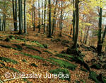 Hukvaldy 075