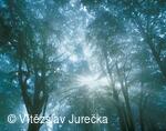 Hukvaldy 002