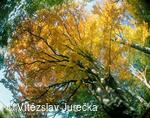 Hukvaldy 016
