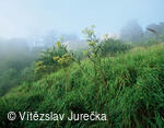 Hukvaldy 064