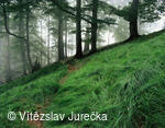 Hukvaldy 053