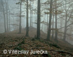 Hukvaldy 044