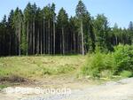 Teplice nad Bečvou - Rekonstrukce cesty - VLO