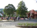 Mezinárodní folklorní festival Písní a tancem