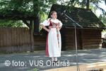 Mezinárodní armádní festival Rožnovská Valaška