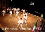 Mezinárodní folklorní festival Folklor bez hranic