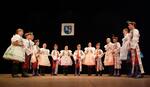Mezinárodní folklorní festival Folklor bez hranic