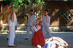Folklorní festival Slezské dny