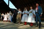 Folklorní festival Slezské dny