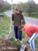 Petřvald