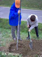 Petřvald