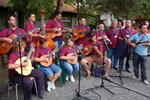Mezinárodní folklorní festival Frýdek-Místek