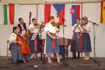 Mezinárodní folklorní festival Frýdek-Místek