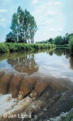 Řeka Odra