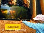 Setkání Jeníčků a Mařenek 2007