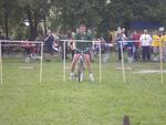 VIII. ročník Her bez venkovských hranic - Petřvald 10.6.2006