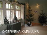 Vánoce v Perníkové chaloupce 2004