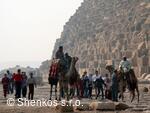 CK Shenkos, Egypt, Giza