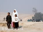 CK Shenkos, Egypt, Giza