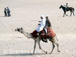 CK Shenkos, Egypt, Giza