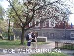 Perníková chaloupka ®
