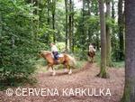Setkání Jeníčků a Mařenek 2009