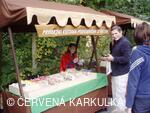 Království perníku 2009 - 1.světová výstava perníkového zvířectva