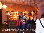 Království perníku 2009