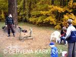 Perníkiáda 2009 - kuželky