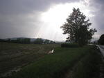 Hodslavice