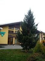 Sedlnice