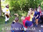 Medobraní a Den dětí 2010