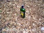 Setkání Jeníčků a Mařenek 2010 - turnaj o cenu Jana Bechera (pro dospělé)